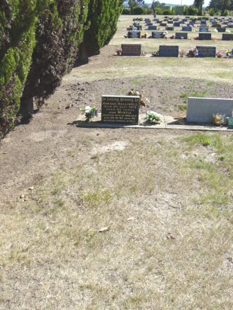Full-size image