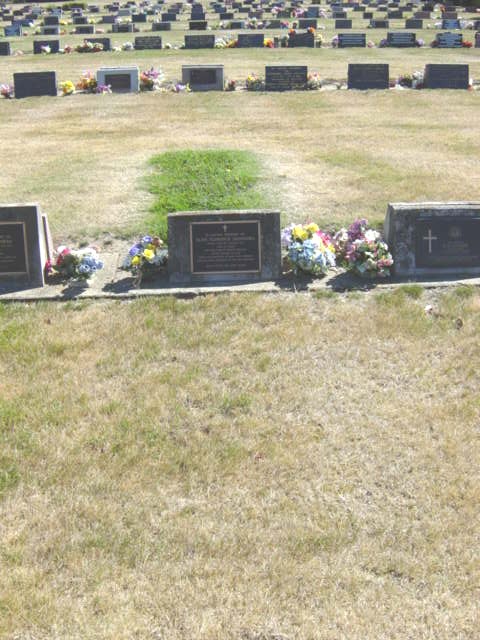 Full-size image