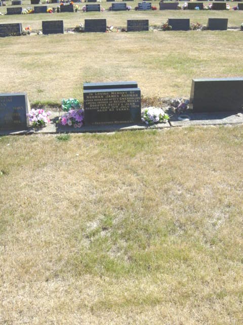 Full-size image