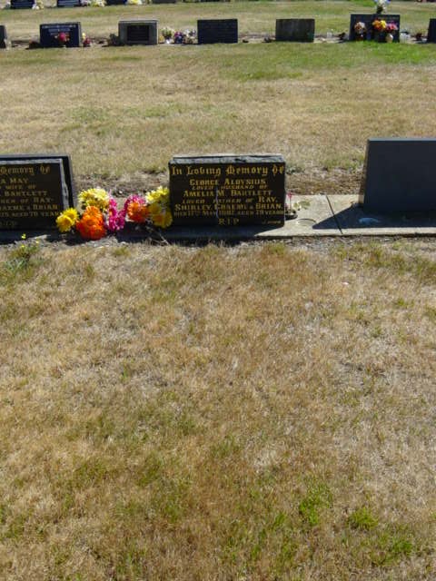 Full-size image