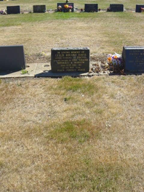 Full-size image