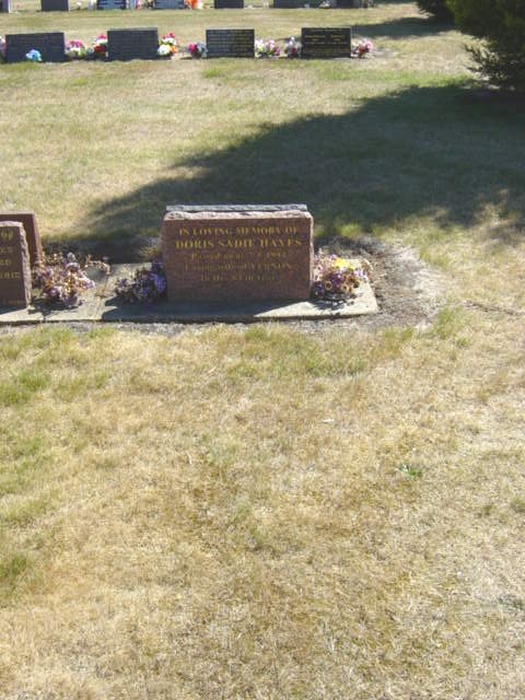 Full-size image