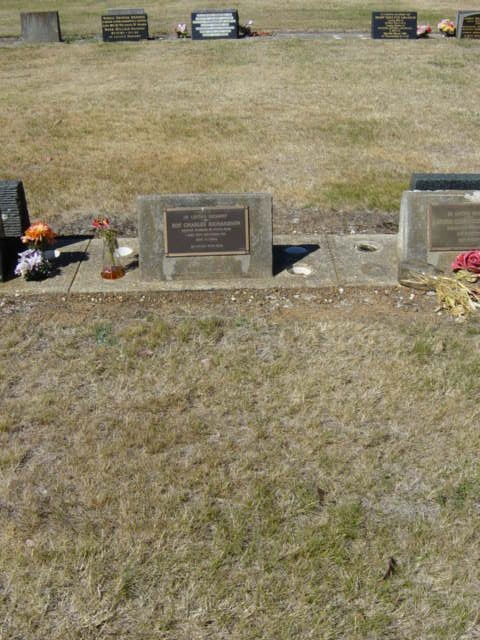 Full-size image