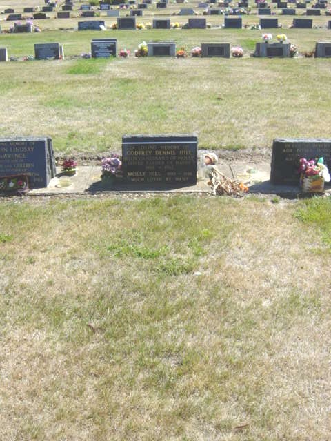 Full-size image