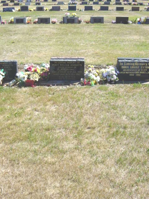 Full-size image