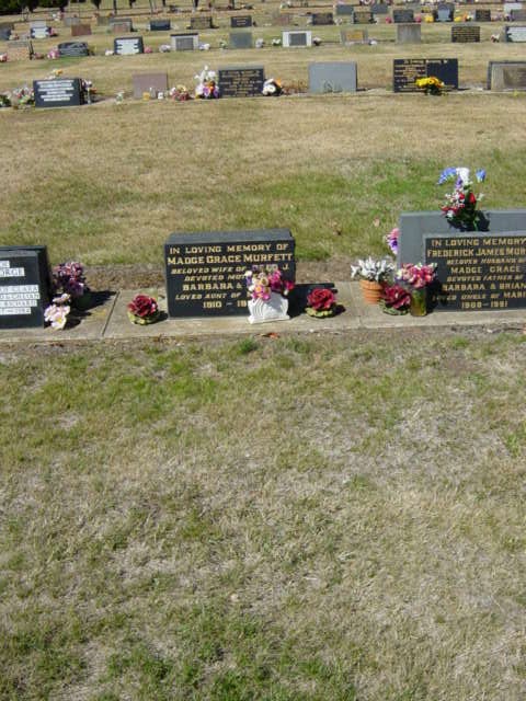 Full-size image