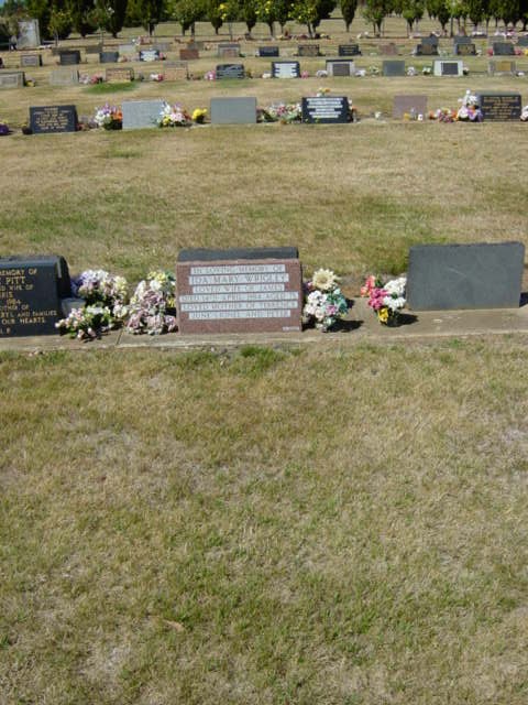 Full-size image