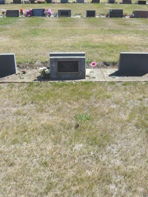 Full-size image