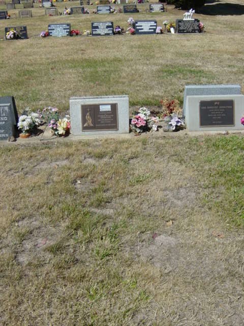 Full-size image