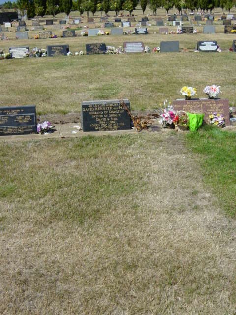 Full-size image