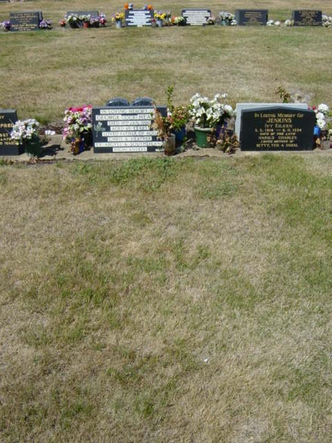Full-size image