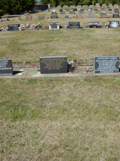 Full-size image