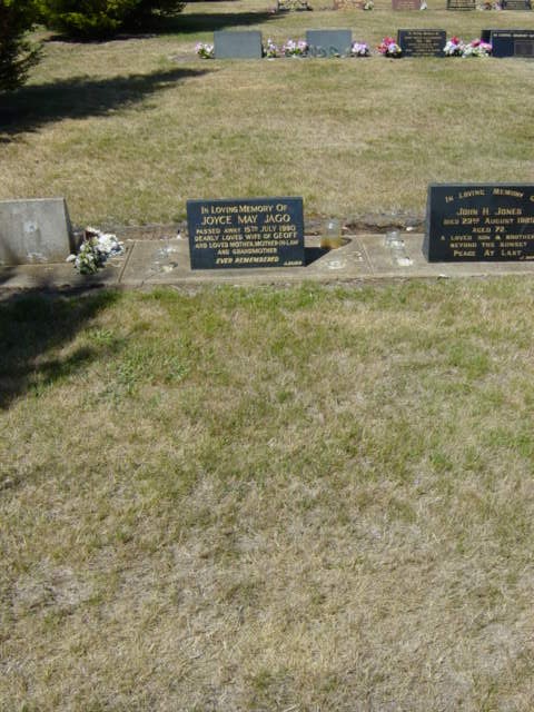 Full-size image