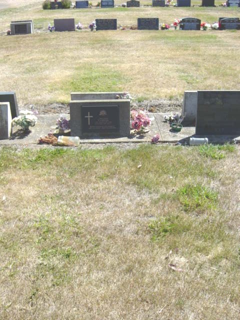 Full-size image