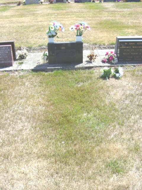 Full-size image
