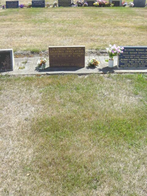 Full-size image