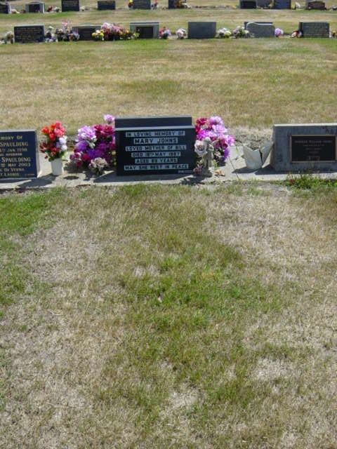 Full-size image