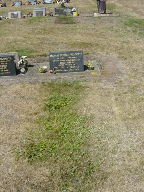 Full-size image