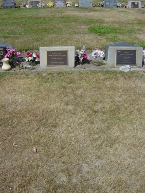 Full-size image