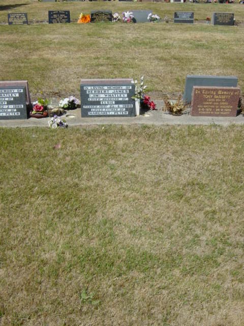 Full-size image