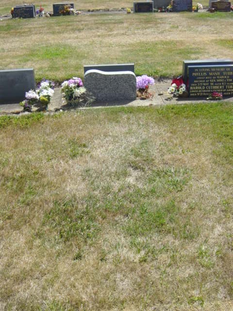 Full-size image
