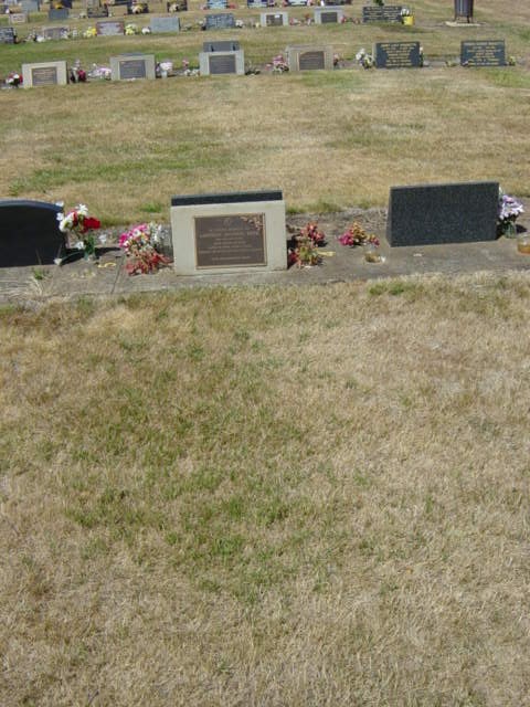 Full-size image