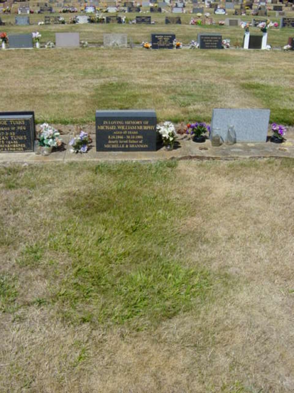 Full-size image
