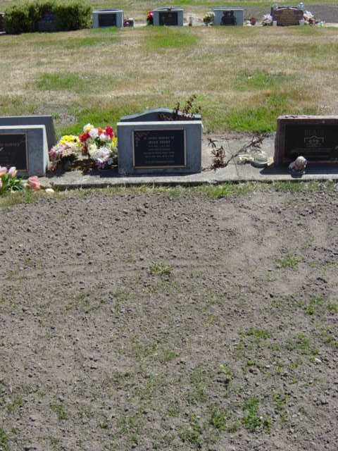 Full-size image