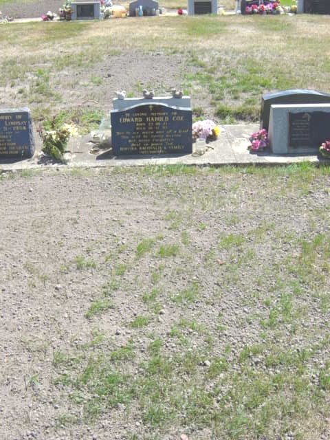 Full-size image