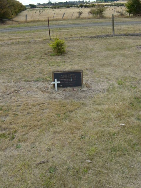 Full-size image