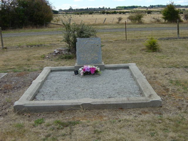 Full-size image