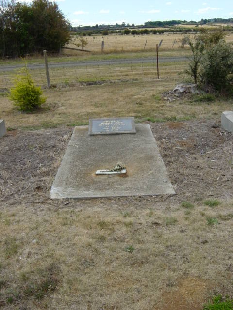 Full-size image