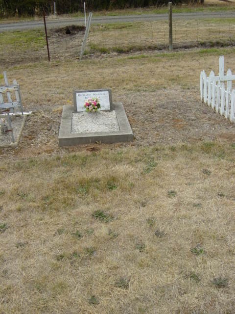 Full-size image