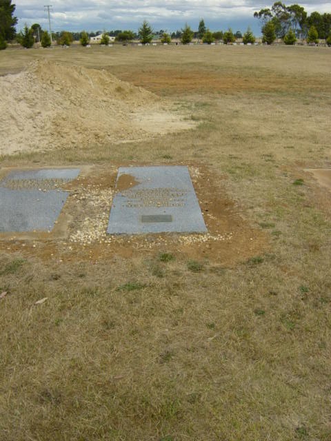 Full-size image