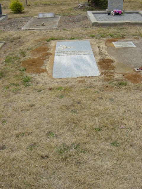 Full-size image