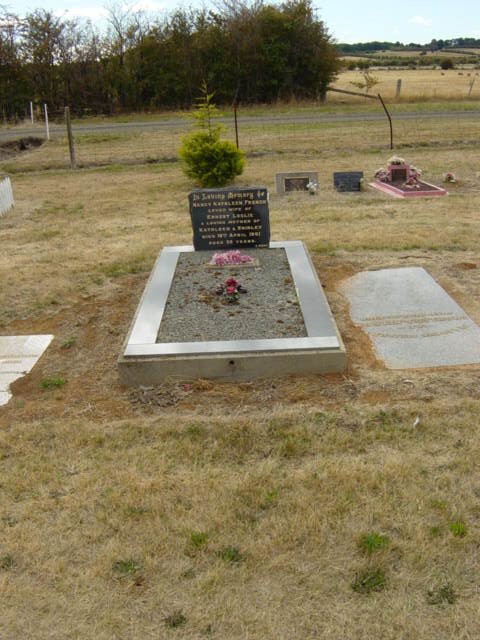 Full-size image