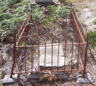 Full-size image
