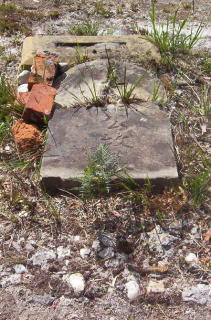 Full-size image