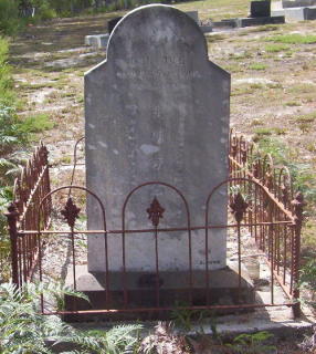 Full-size image