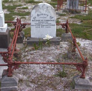 Full-size image