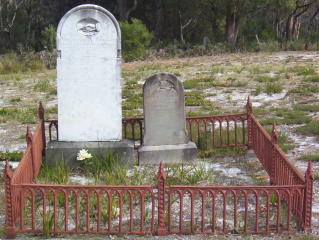 Full-size image