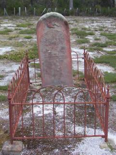Full-size image
