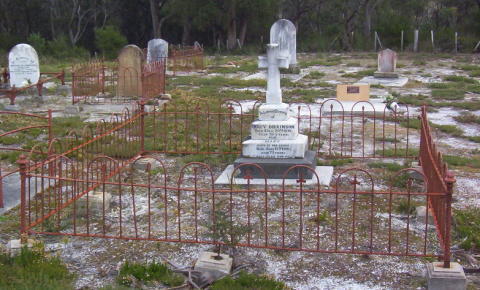 Full-size image