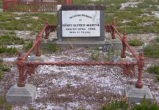 Full-size image