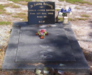 Full-size image