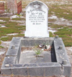 Full-size image