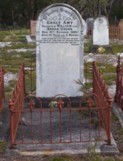 Full-size image