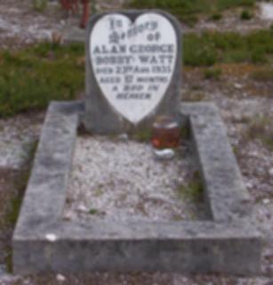 Full-size image