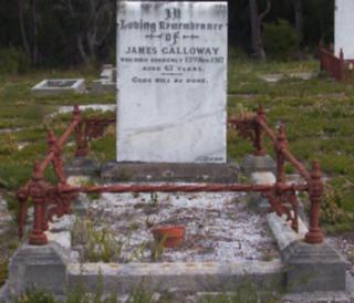 Full-size image