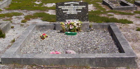 Full-size image